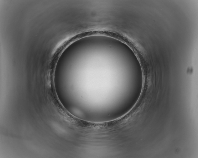 X0000090601262200707241035
