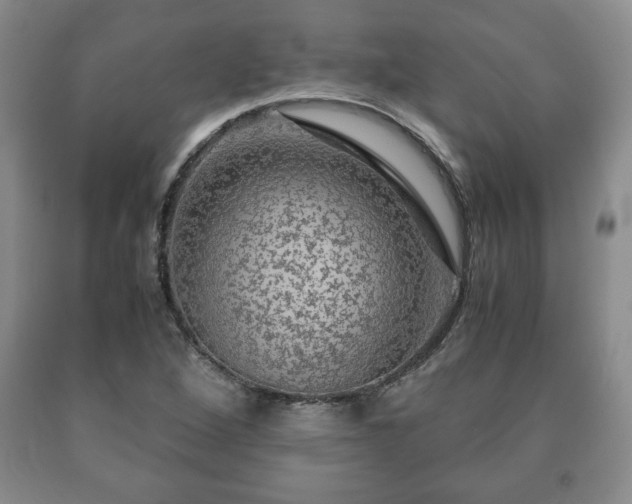 X0000090601264200707241035