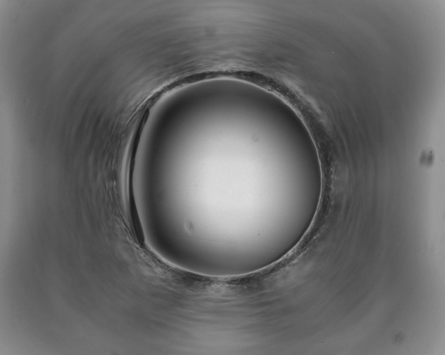 X0000090601265200707241035