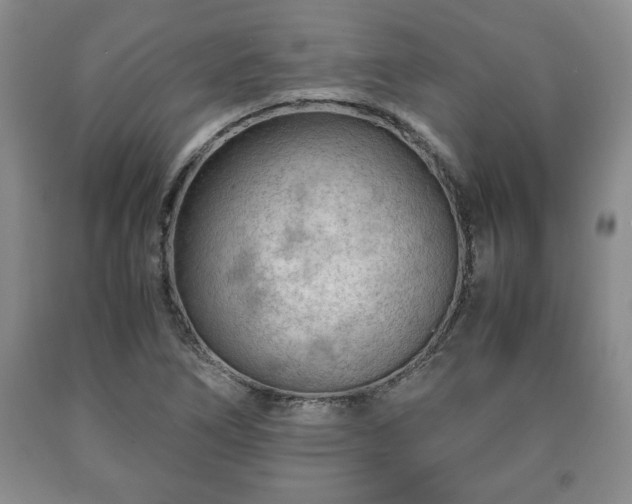 X0000090601266200707241035