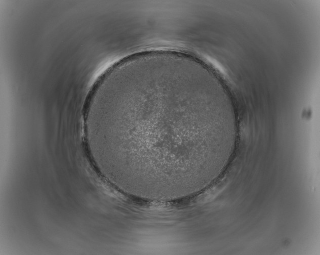 X0000090601267200707241035
