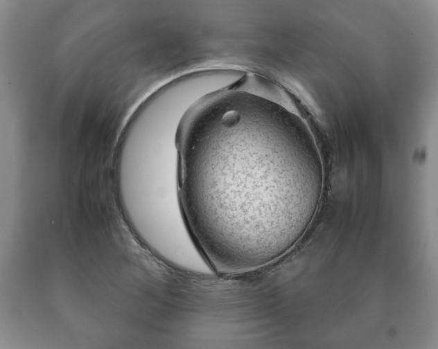 X0000090601268200707241035
