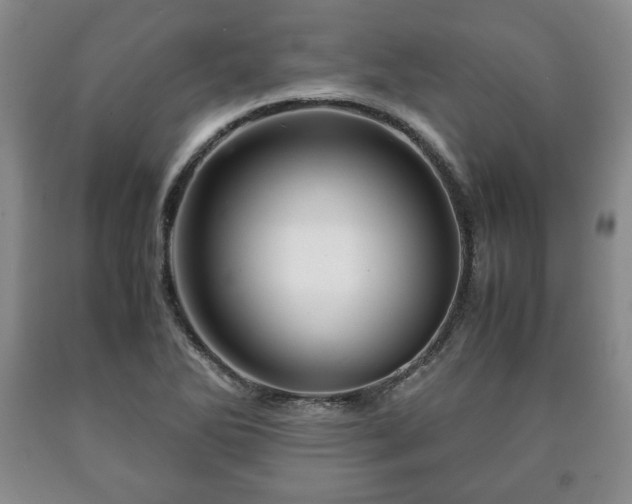 X0000090601270200707241035