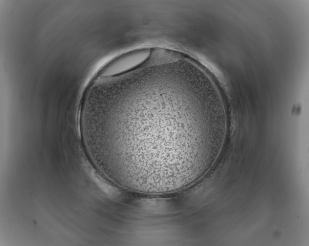 X0000090601272200707241035
