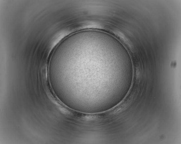 X0000090601274200707241035