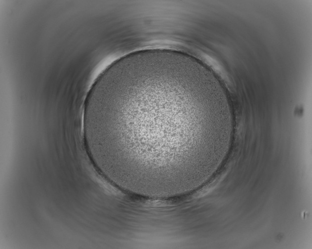 X0000090601275200707241035
