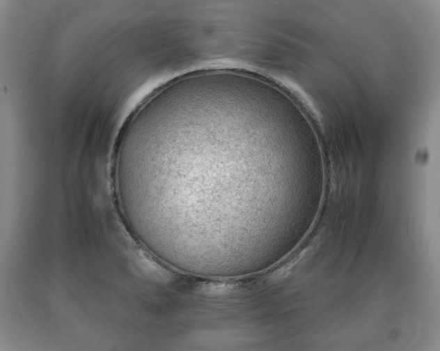 X0000090601278200707241035