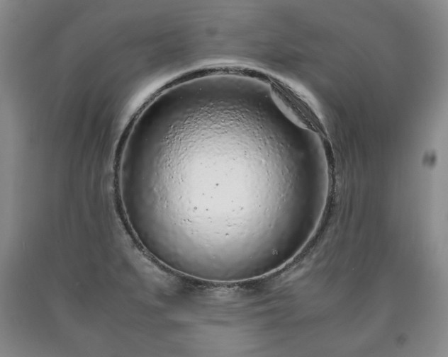 X0000090601279200707241035