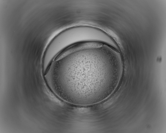 X0000090601280200707241035
