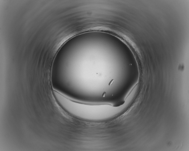 X0000090601281200707241035