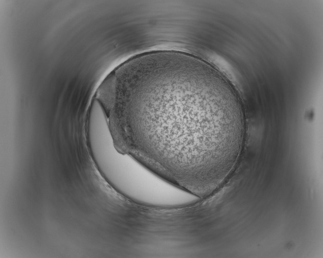 X0000090601284200707241035
