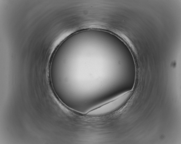 X0000090601285200707241035