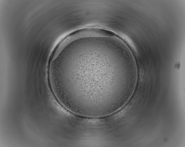 X0000090601288200707241035