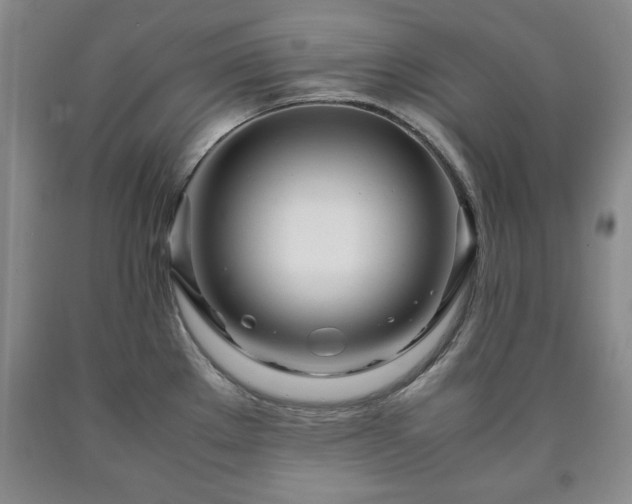 X0000090601289200707241035
