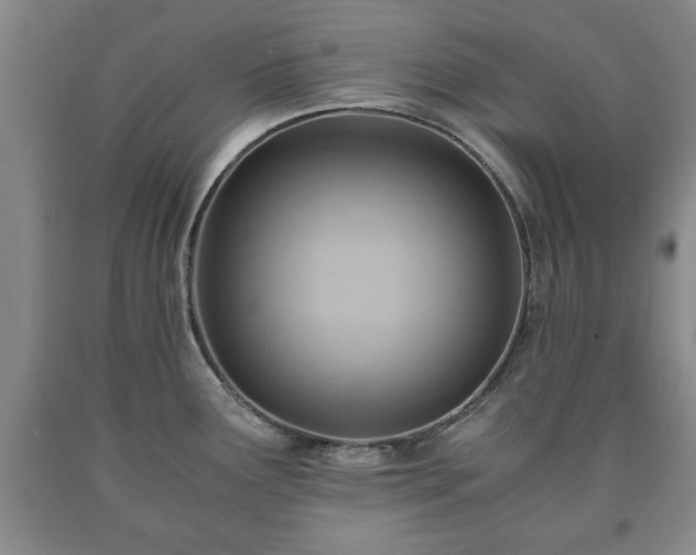 X0000090601291200707241035