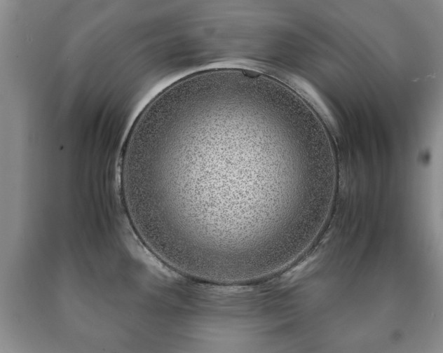 X0000090601292200707241035
