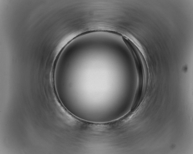 X0000090601293200707241035
