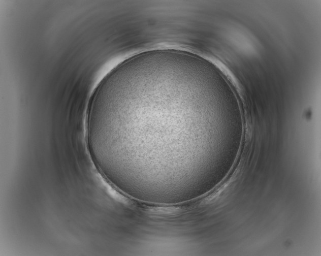 X0000090601294200707241035