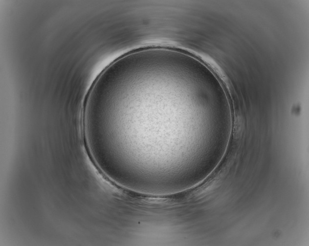 X0000090601295200707241035
