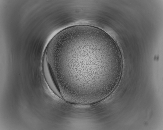 X0000090601296200707241035