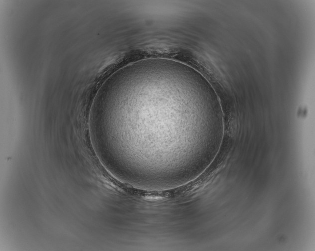 X0000090601297200707241034