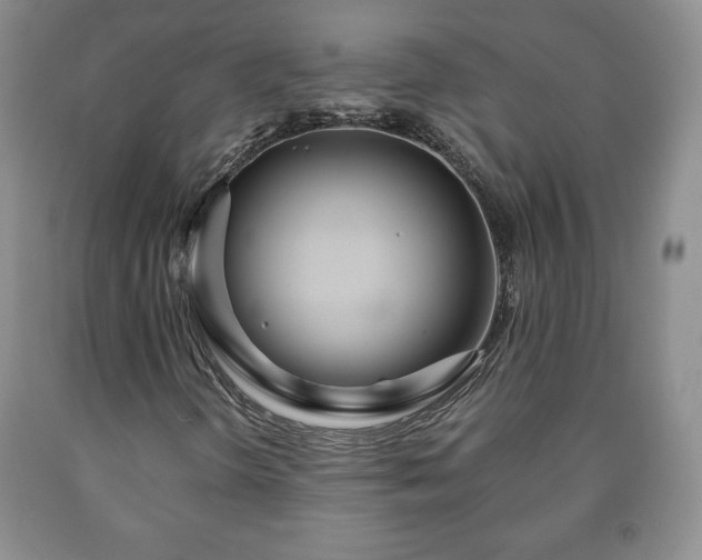 X0000090601298200707241034