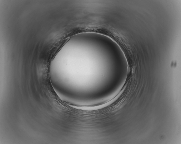 X0000090601300200707241034