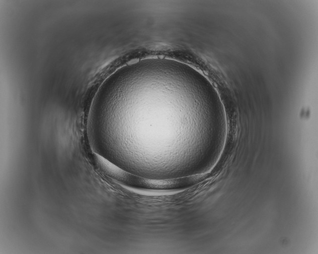 X0000090601301200707241034