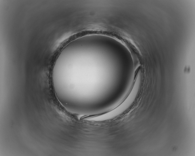 X0000090601304200707241034