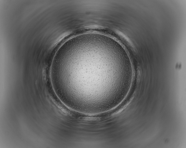 X0000090601305200707241034