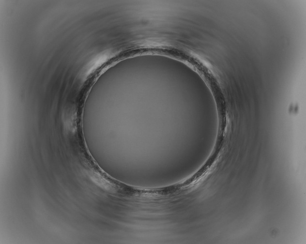 X0000090601306200707241034