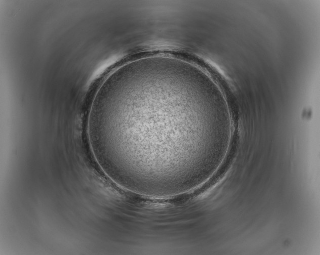 X0000090601309200707241034