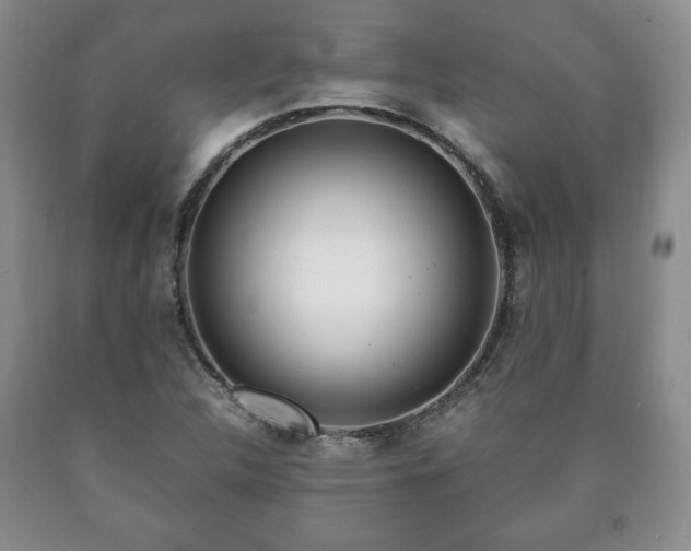 X0000090601312200707241034