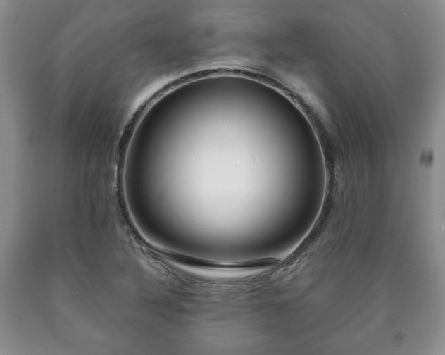 X0000090601316200707241034