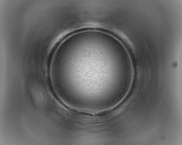 X0000090601318200707241034
