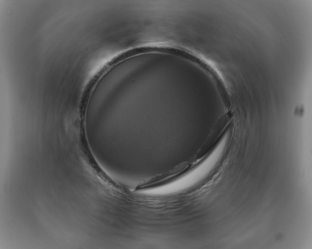 X0000090601319200707241034