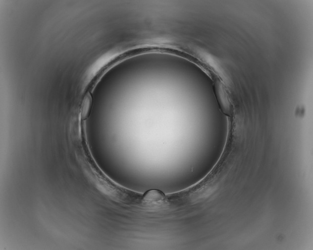 X0000090601320200707241034