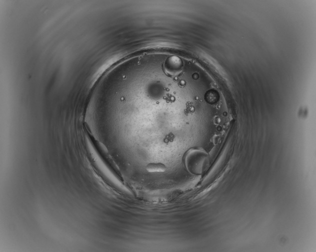 X0000090601321200707241034