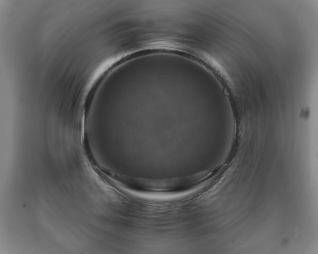 X0000090601323200707241034