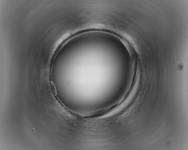 X0000090601326200707241034