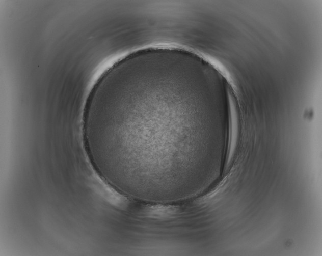 X0000090601327200707241034