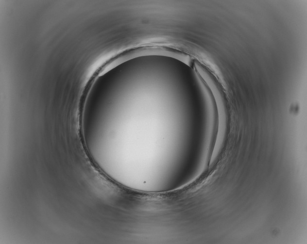 X0000090601328200707241034