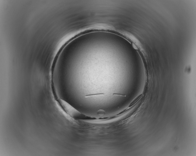 X0000090601335200707241034