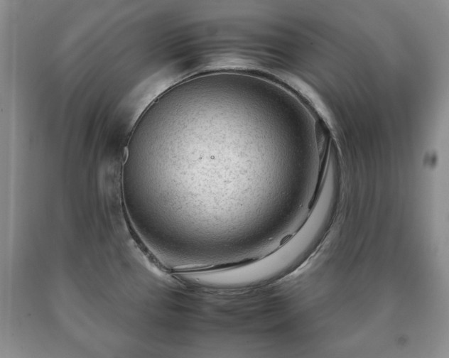 X0000090601337200707241034