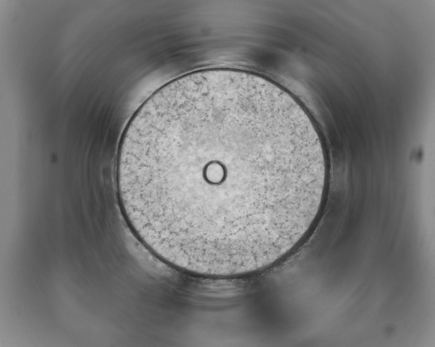 X0000090601338200707241034