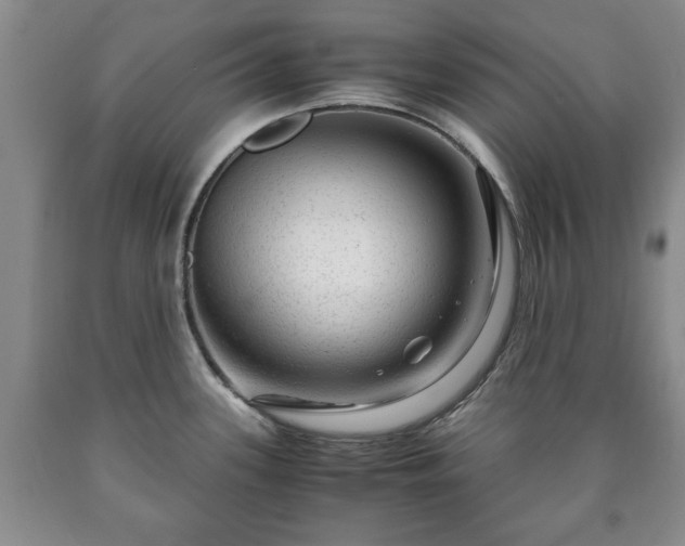 X0000090601339200707241034