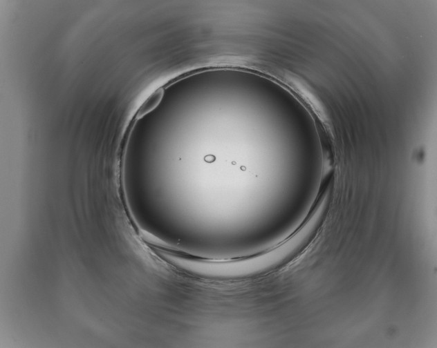 X0000090601340200707241035