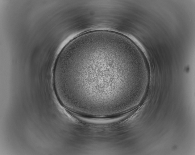X0000090601341200707241035