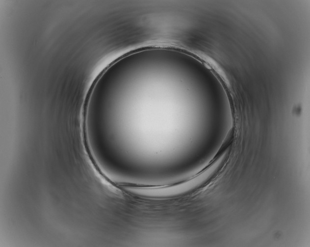 X0000090601343200707241035