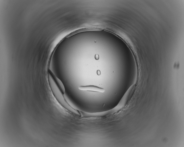X0000090601344200707241035